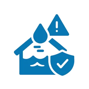 Roof Leak Repair Icon