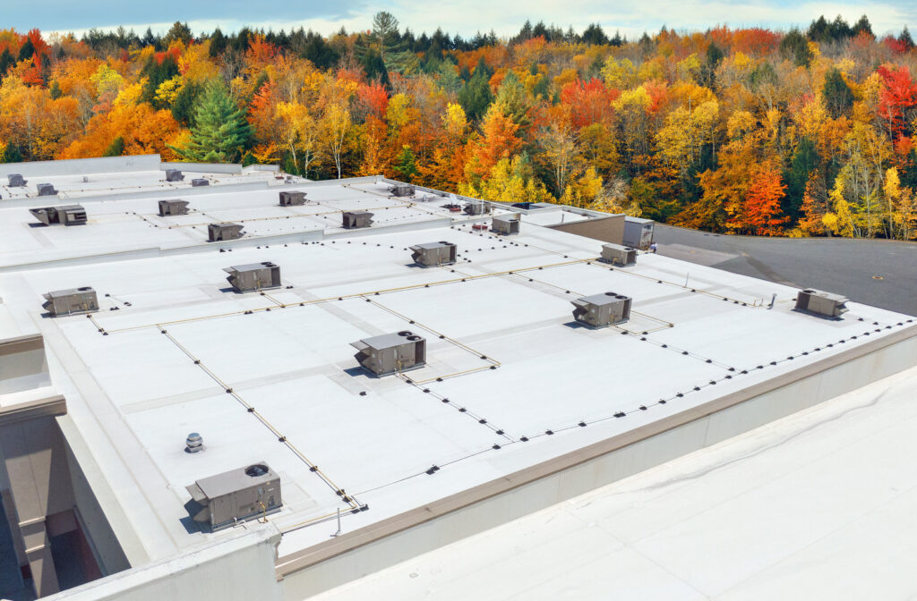Flat Roof in the fall