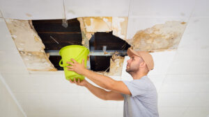 Man Collecting Water In Bucket From Ceiling. Ceiling panels damaged huge hole in roof from rainwater leakage.Water damaged ceiling .